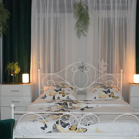 Apartament U Danusi Zloty Stok Luaran gambar