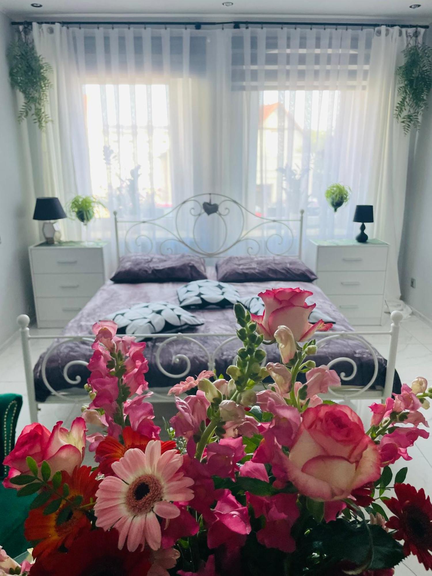Apartament U Danusi Zloty Stok Luaran gambar